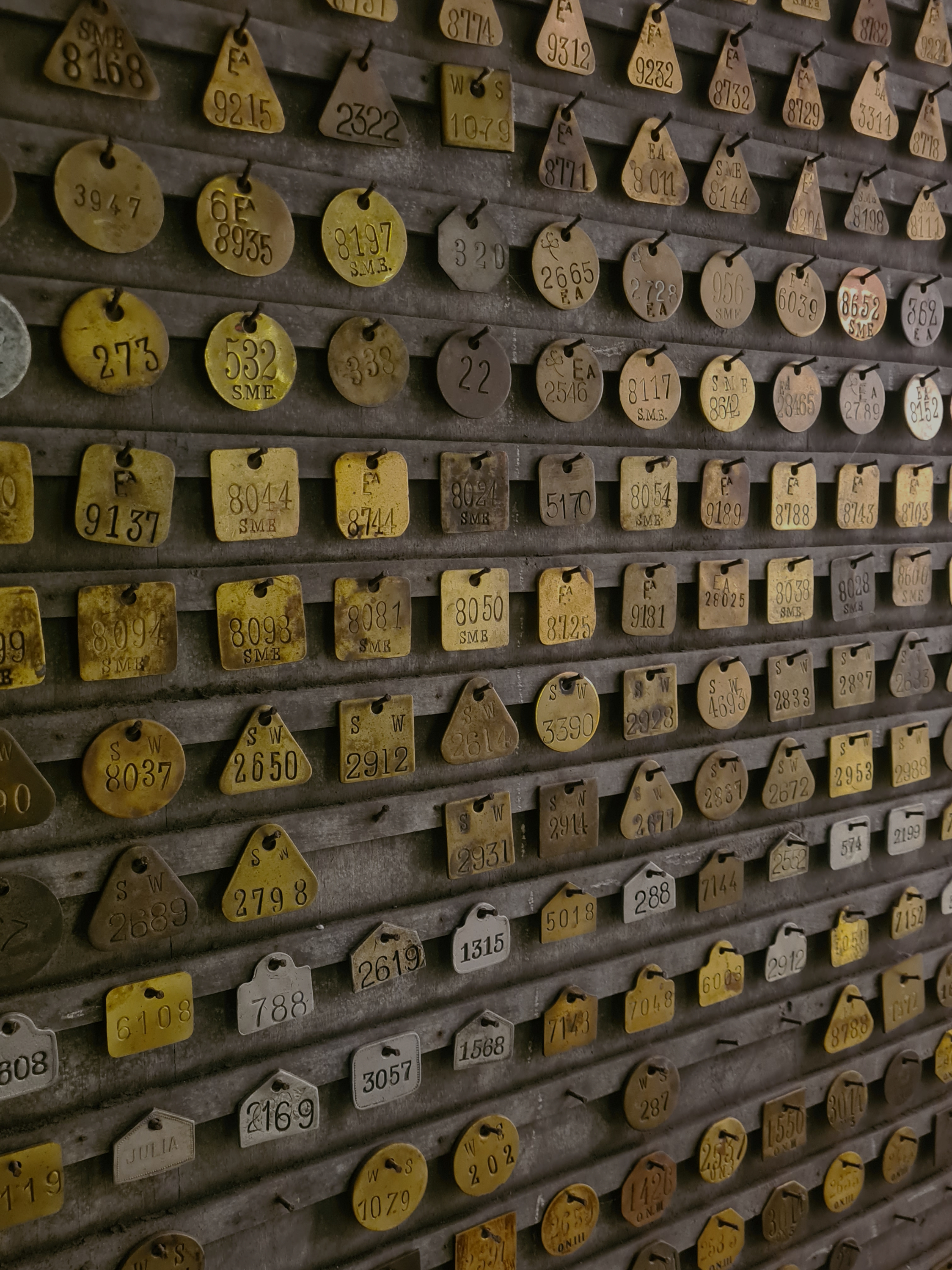 Open dag - Jubileum en opening na verbouwing!