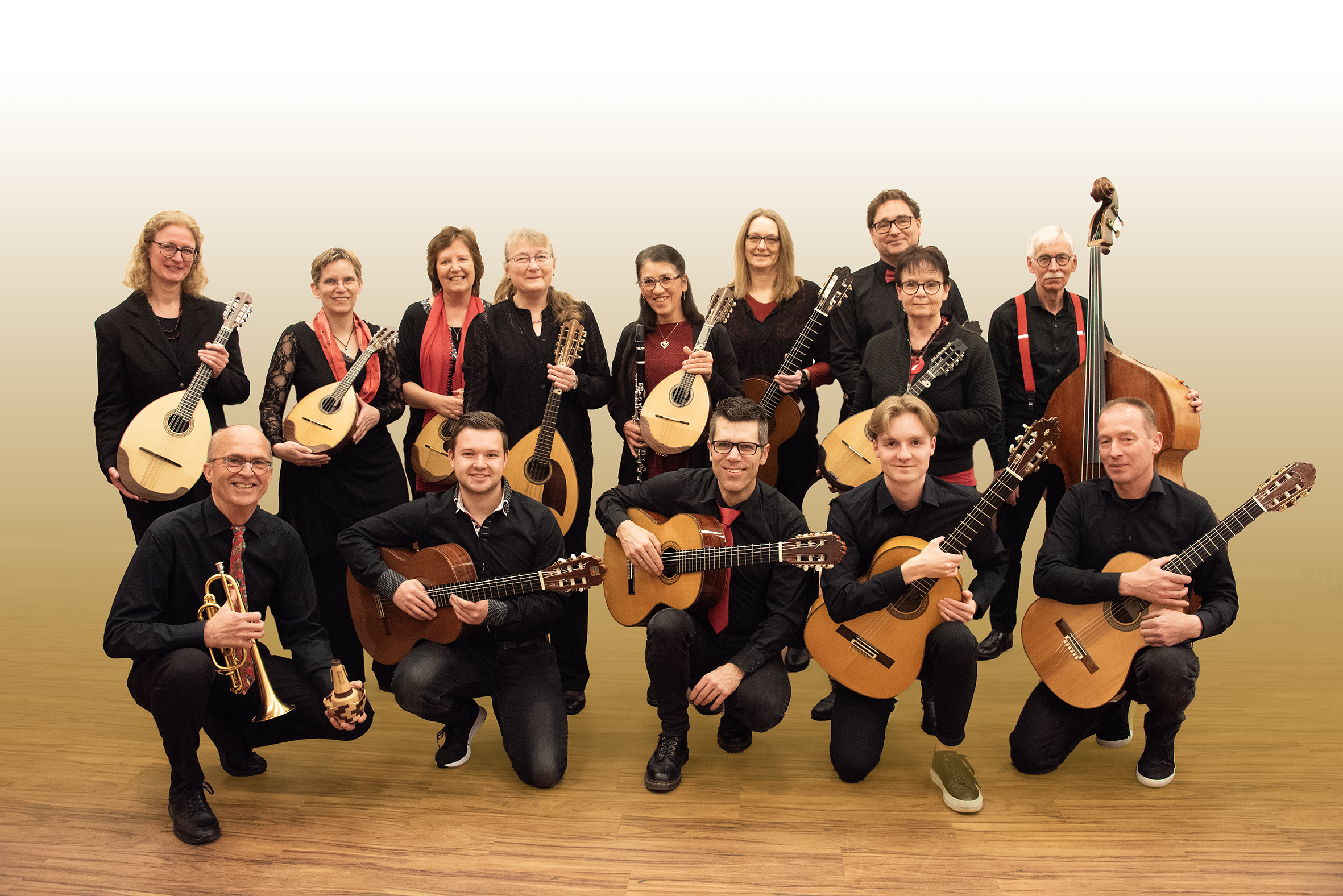 Jubileumconcert 50 jaar The Strings